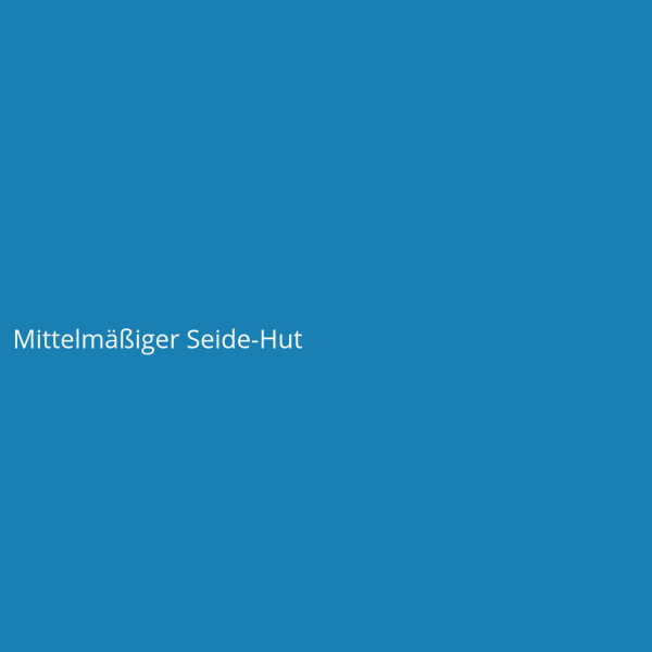 Mittelm&auml;&szlig;iger Seide-Hut