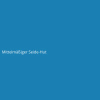 Mittelm&auml;&szlig;iger Seide-Hut