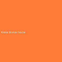 Kleine Bronze-Tasche